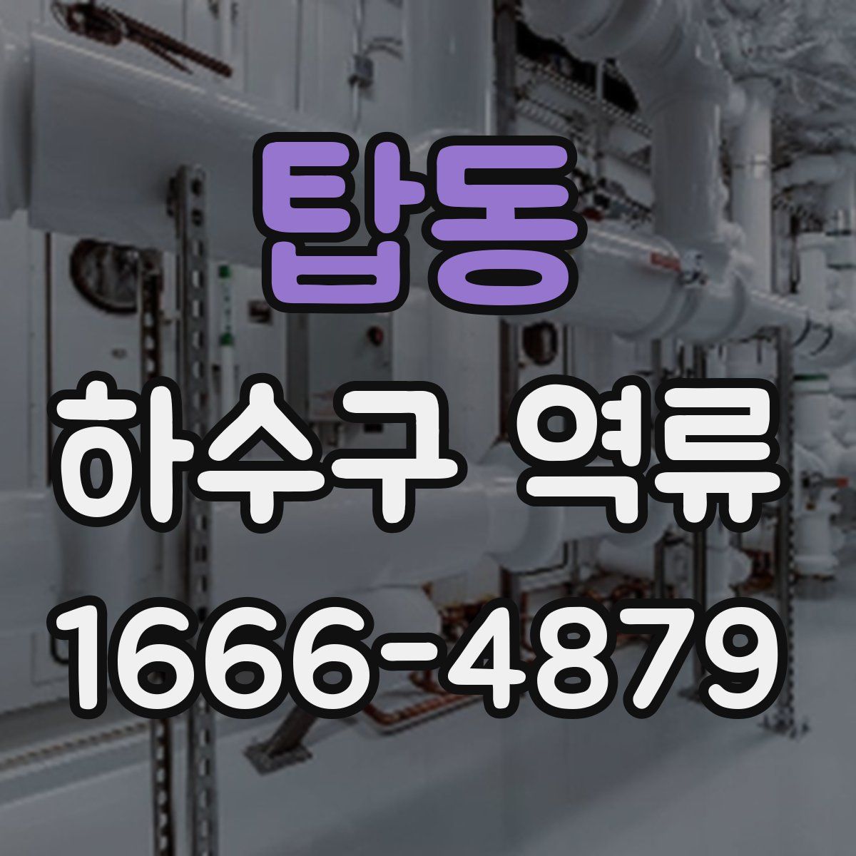 탑동 하수구 역류