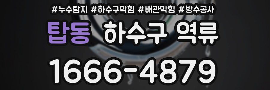 탑동 하수구 역류