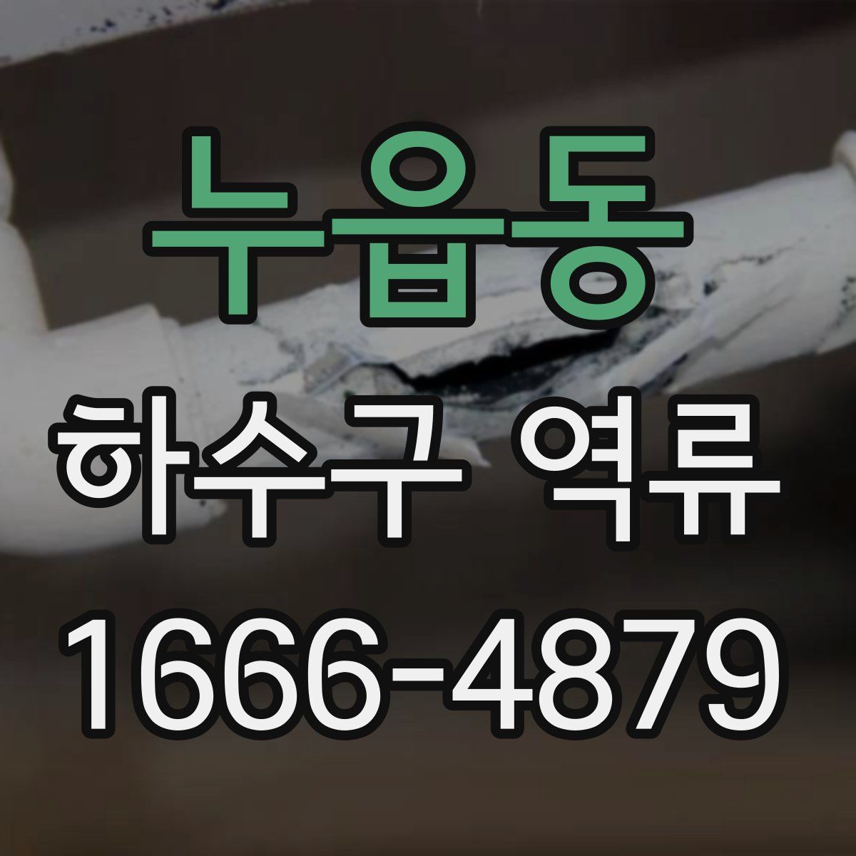 누읍동 하수구 역류