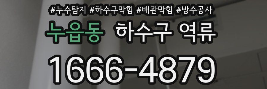 누읍동 하수구 역류