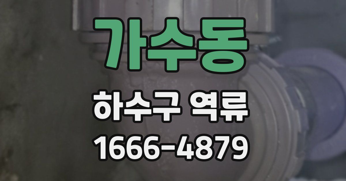 가수동 하수구 역류