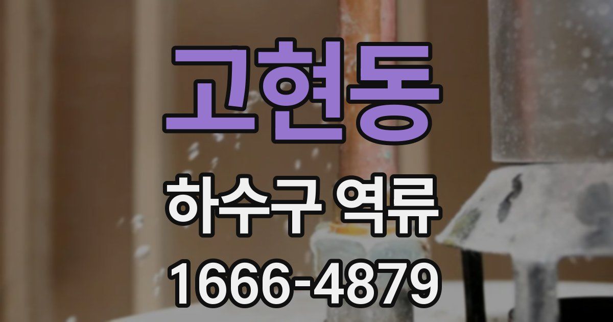 고현동 하수구 역류
