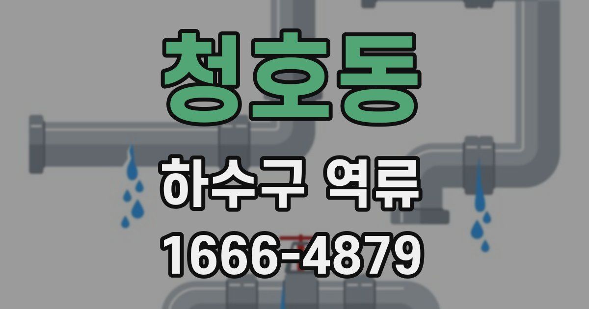 청호동 하수구 역류