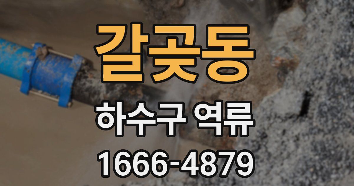 갈곶동 하수구 역류
