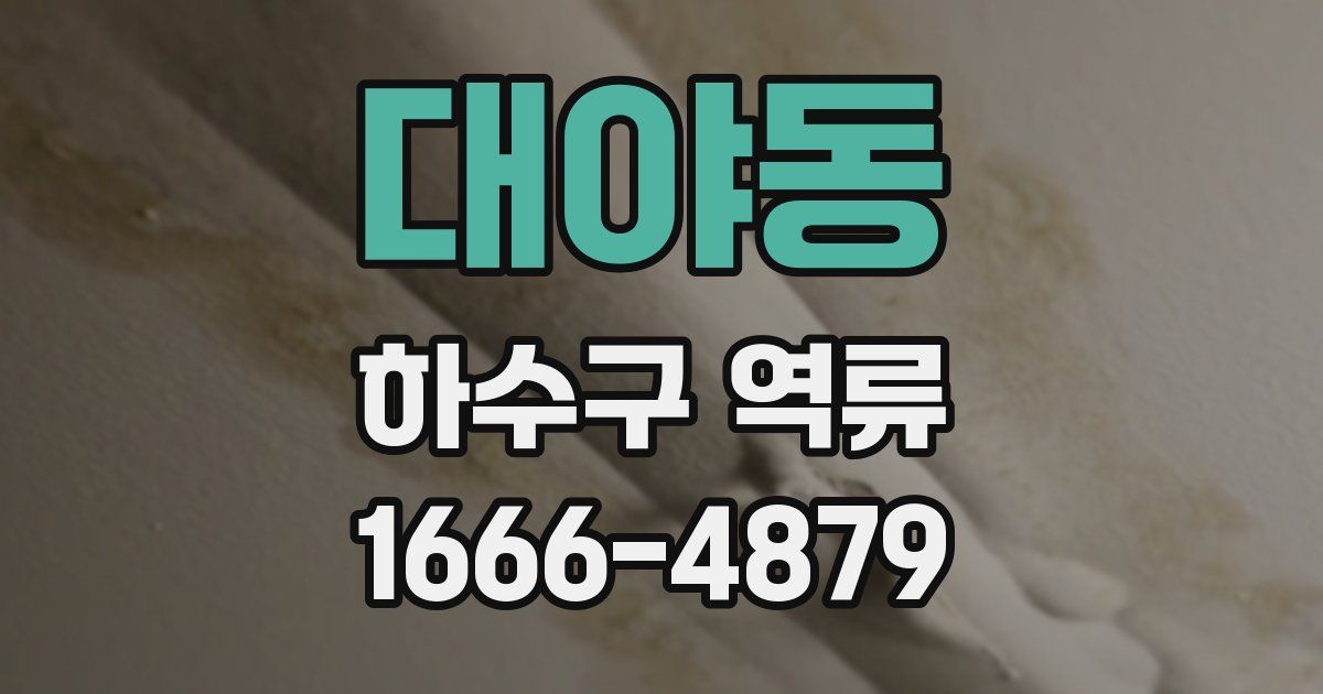 대야동 하수구 역류
