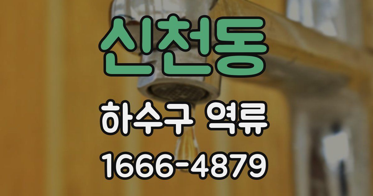 신천동 하수구 역류