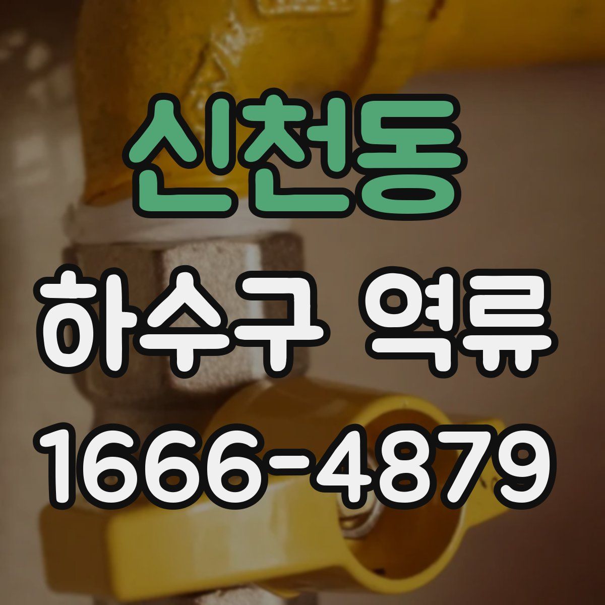 신천동 하수구 역류