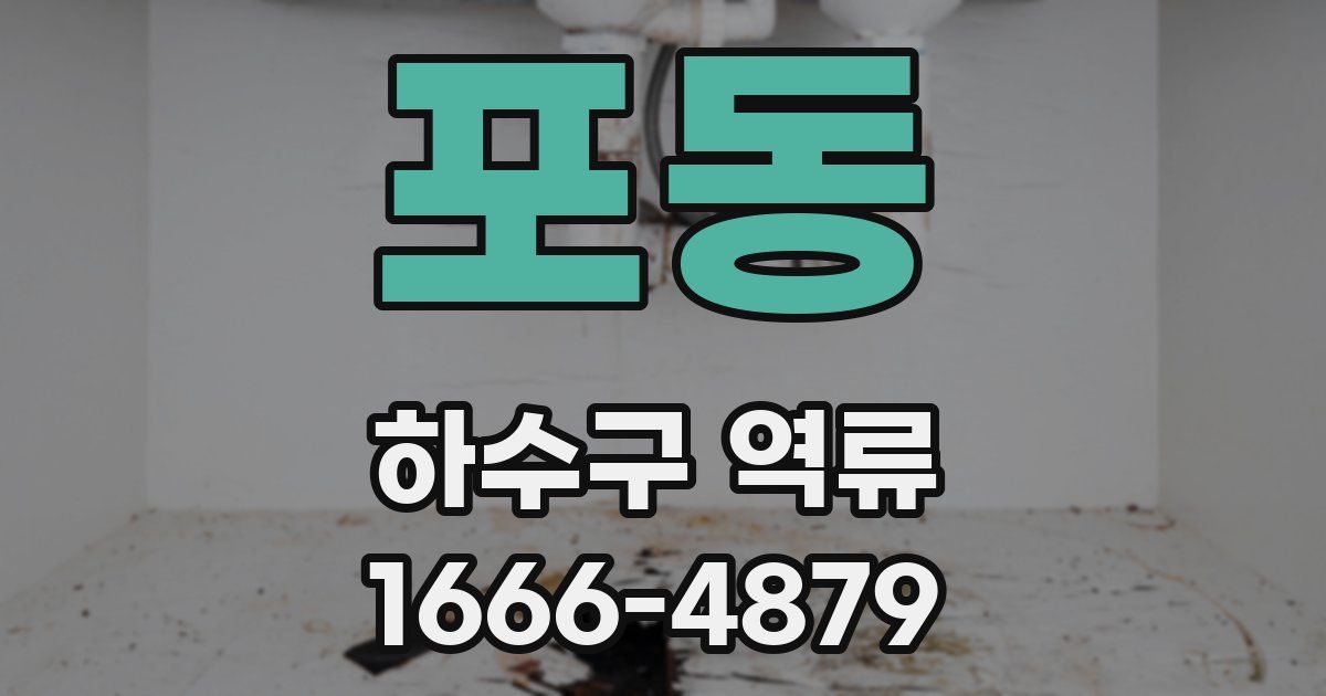포동 하수구 역류