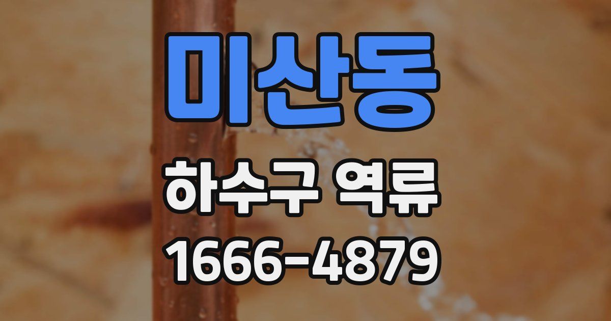 미산동 하수구 역류