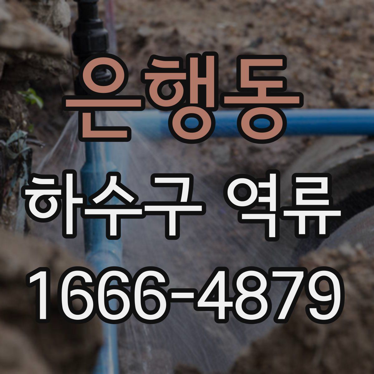 은행동 하수구 역류