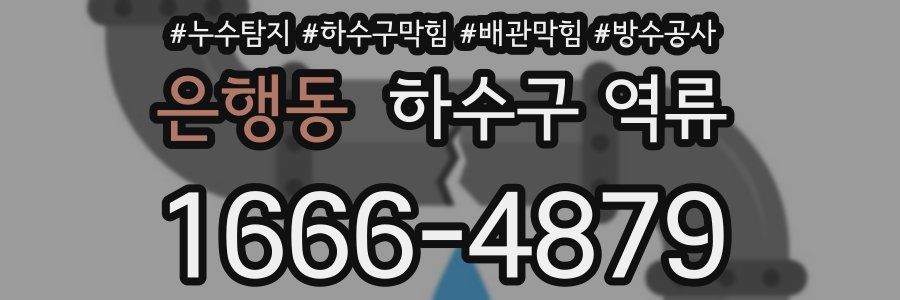 은행동 하수구 역류