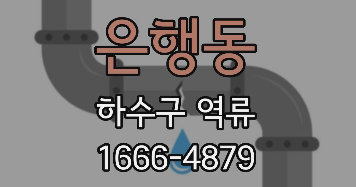 은행동 하수구 역류