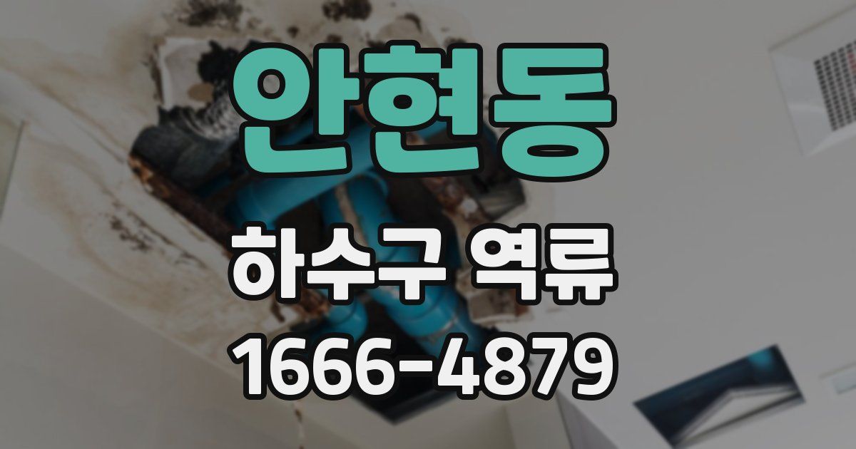 안현동 하수구 역류