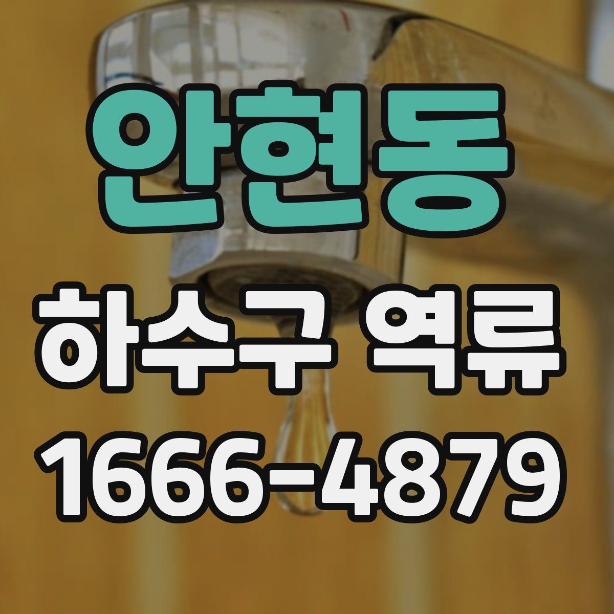 안현동 하수구 역류