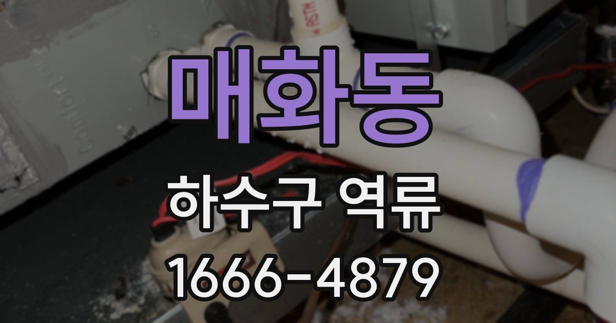 매화동 하수구 역류
