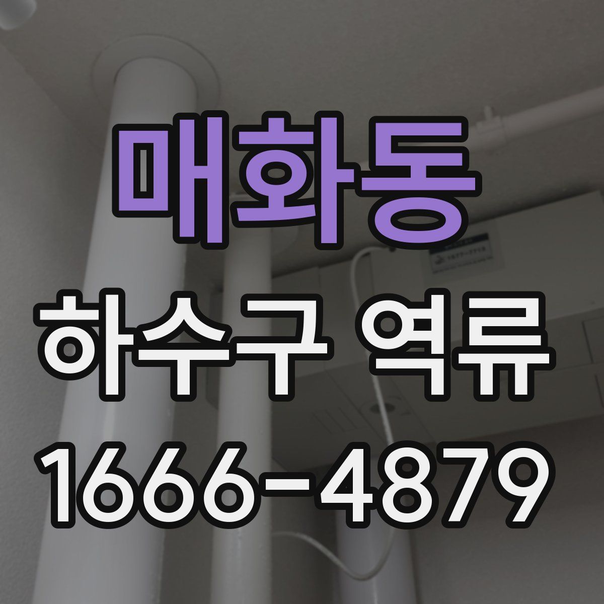 매화동 하수구 역류