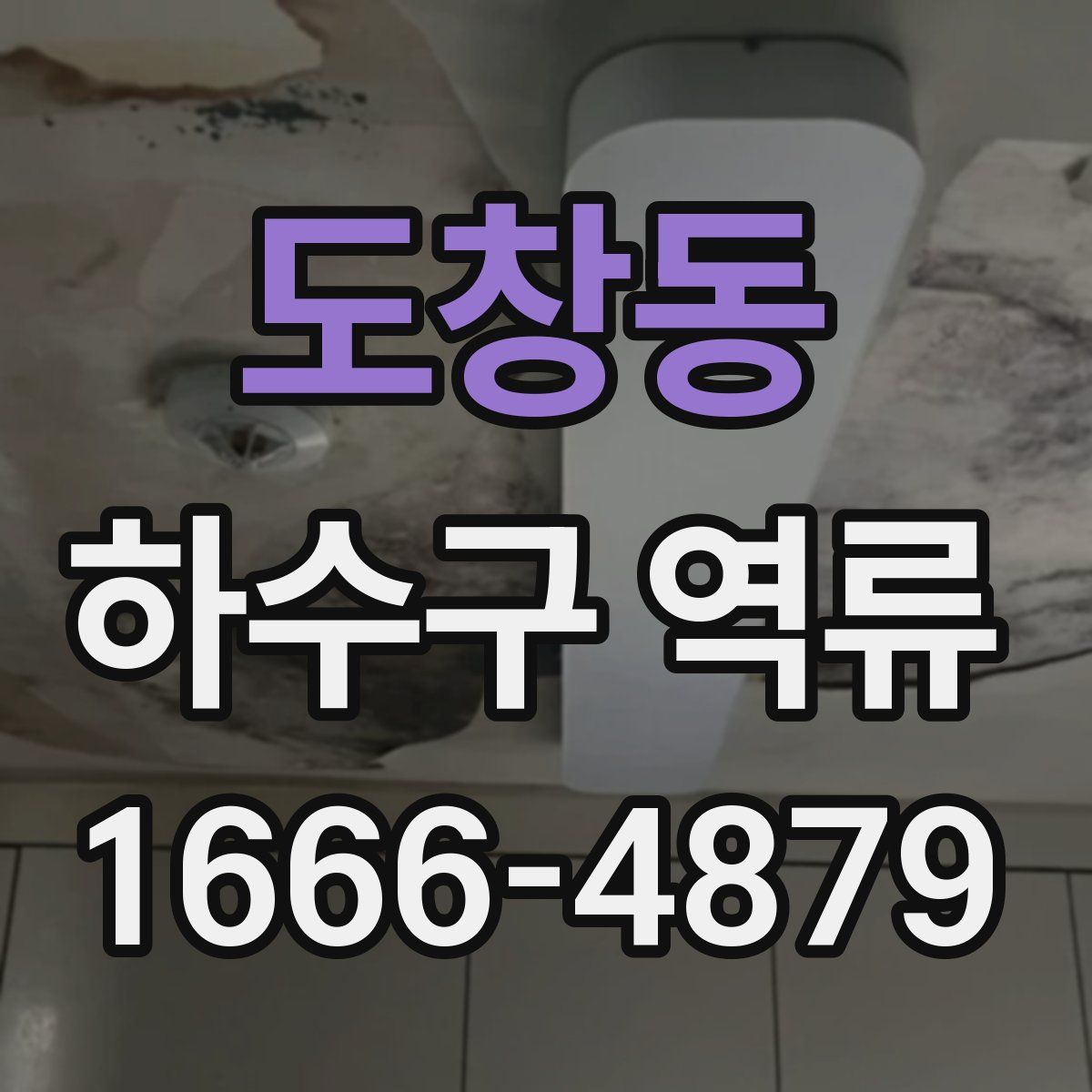 도창동 하수구 역류