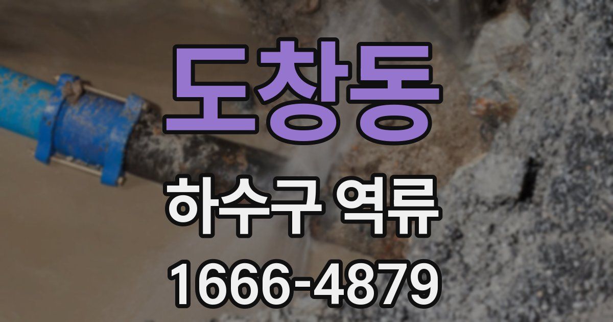도창동 하수구 역류
