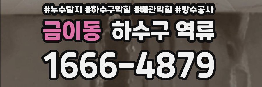 금이동 하수구 역류