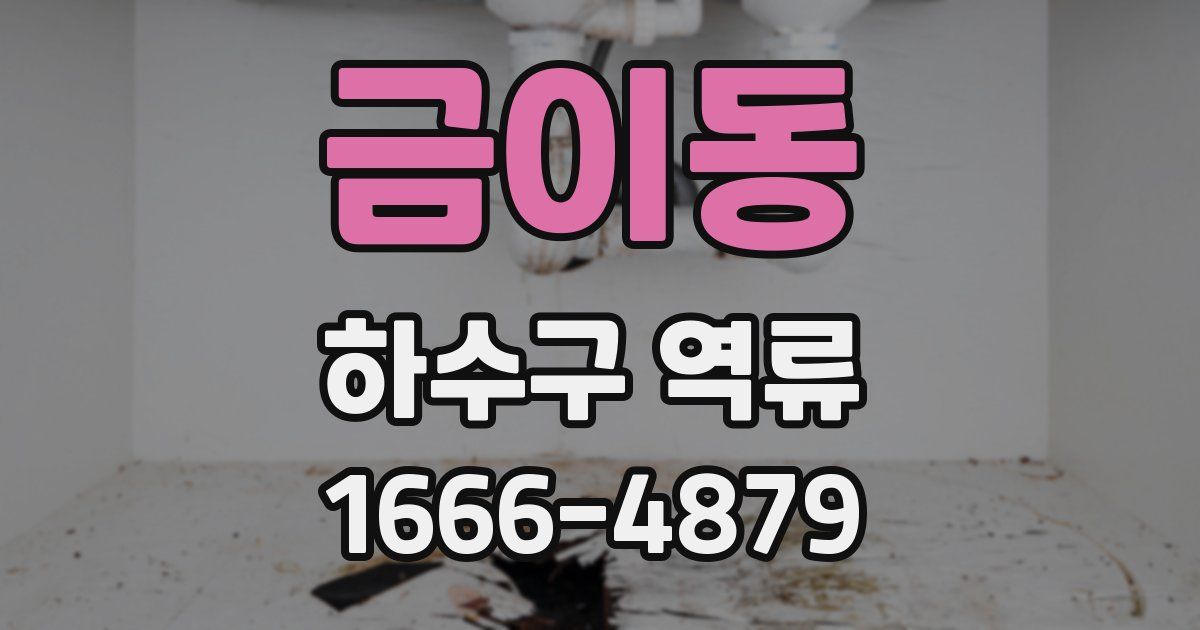 금이동 하수구 역류