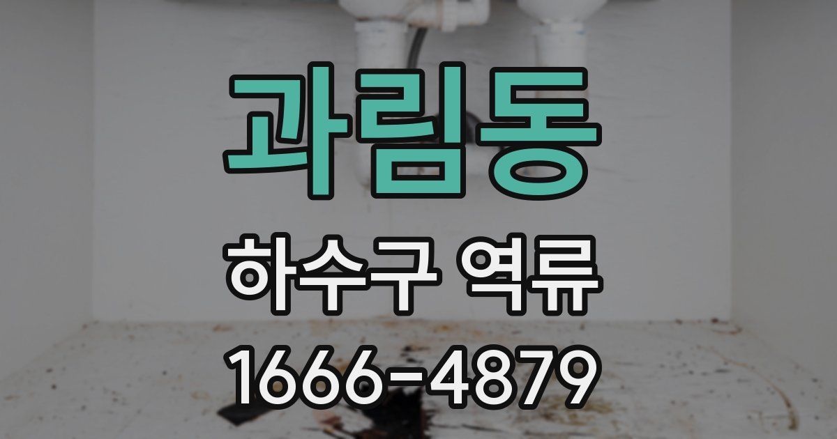 과림동 하수구 역류