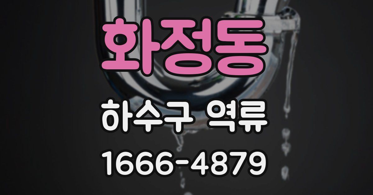 화정동 하수구 역류