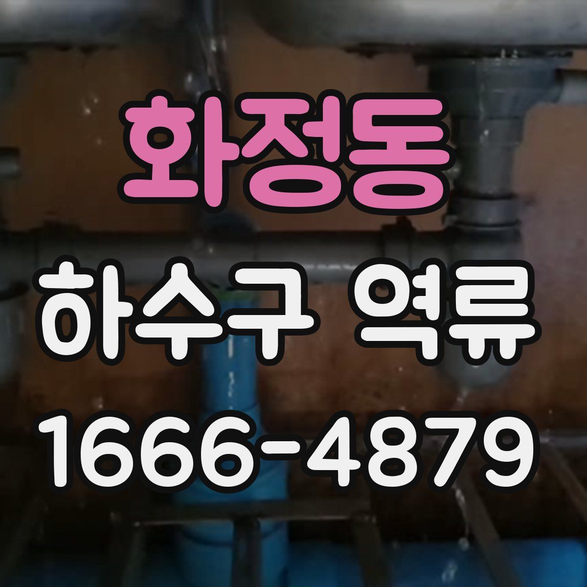 화정동 하수구 역류