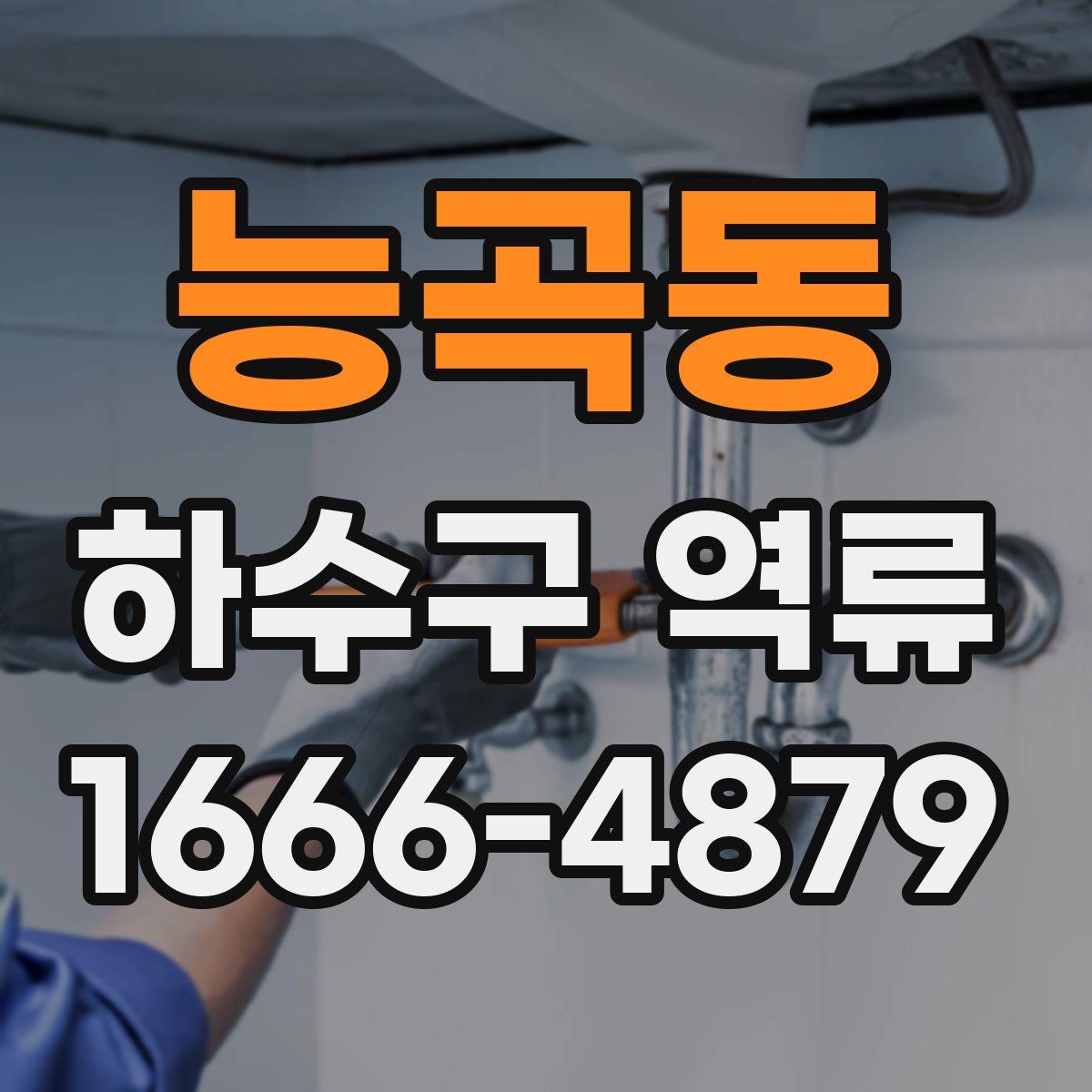 능곡동 하수구 역류