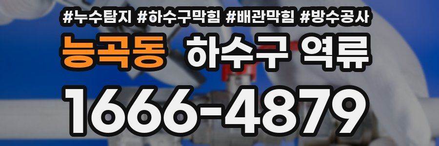 능곡동 하수구 역류