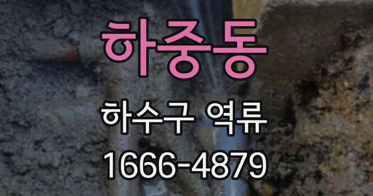 하중동 하수구 역류