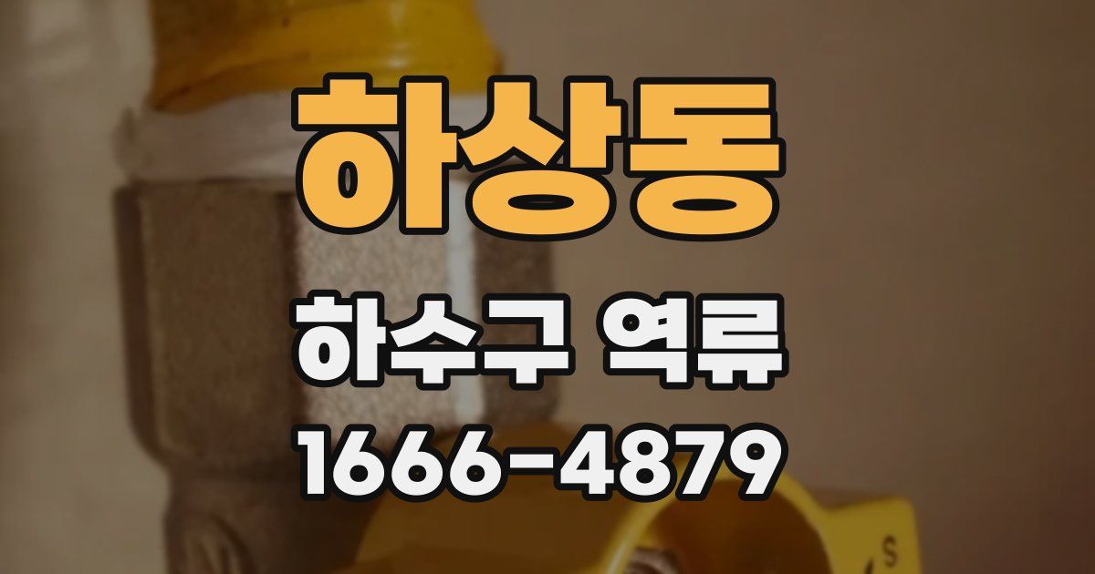 하상동 하수구 역류