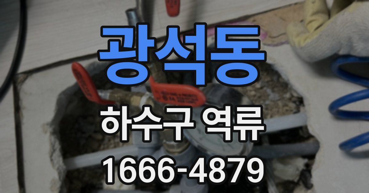 광석동 하수구 역류