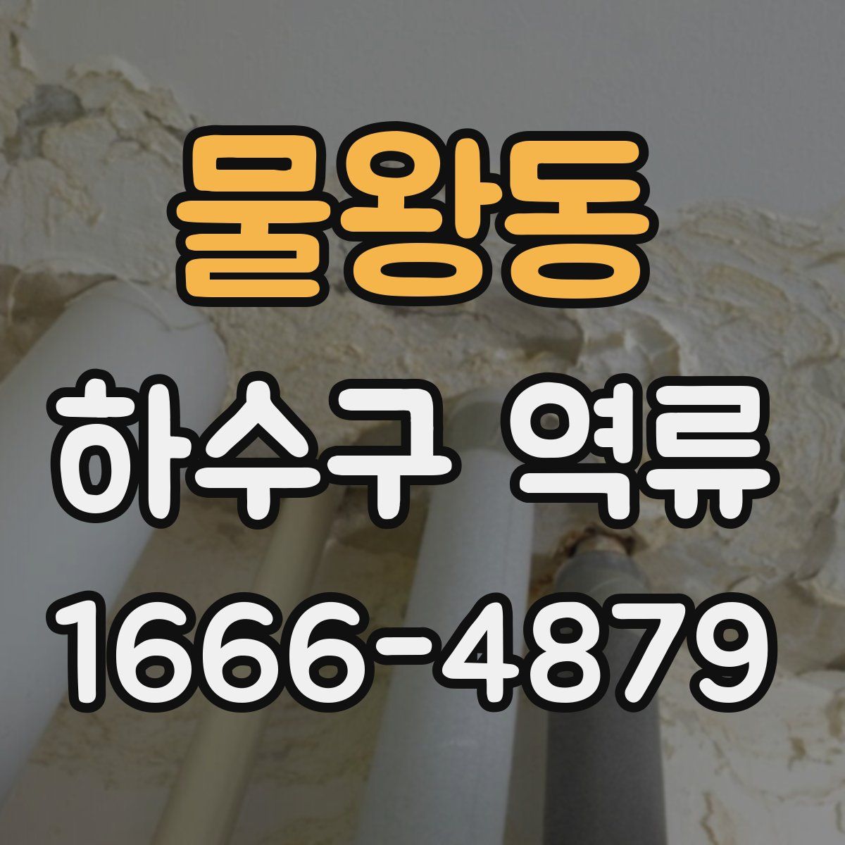 물왕동 하수구 역류