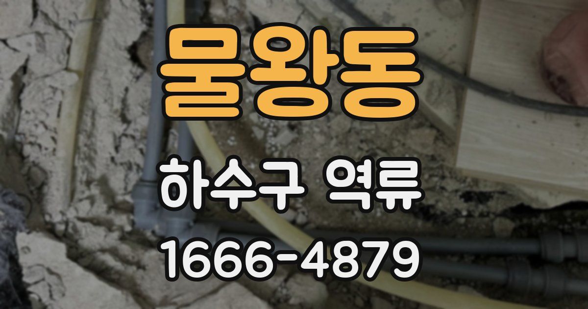 물왕동 하수구 역류