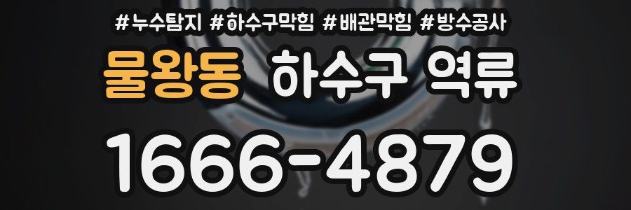 물왕동 하수구 역류