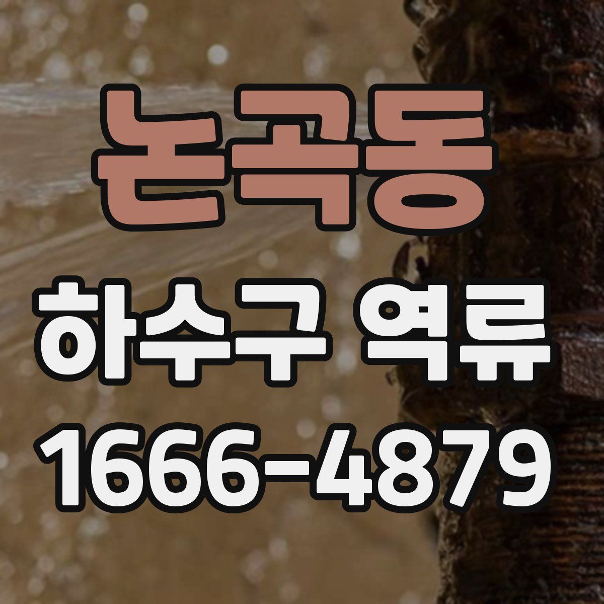 논곡동 하수구 역류