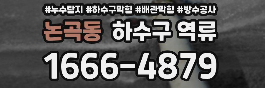 논곡동 하수구 역류
