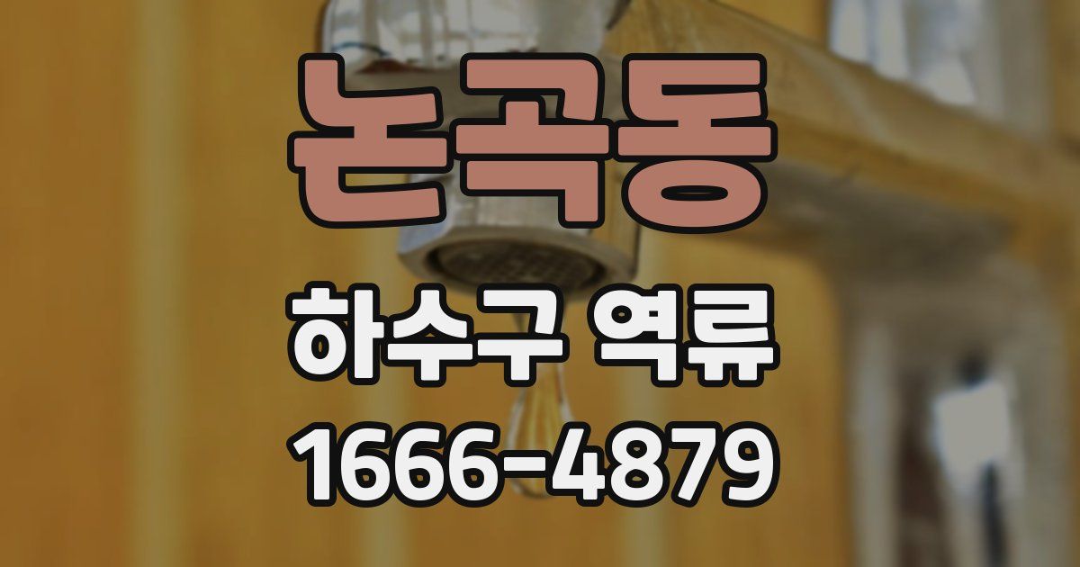 논곡동 하수구 역류