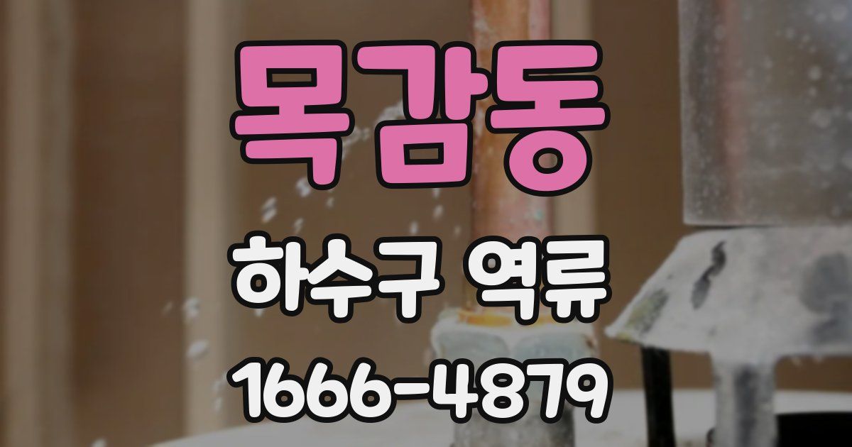 목감동 하수구 역류