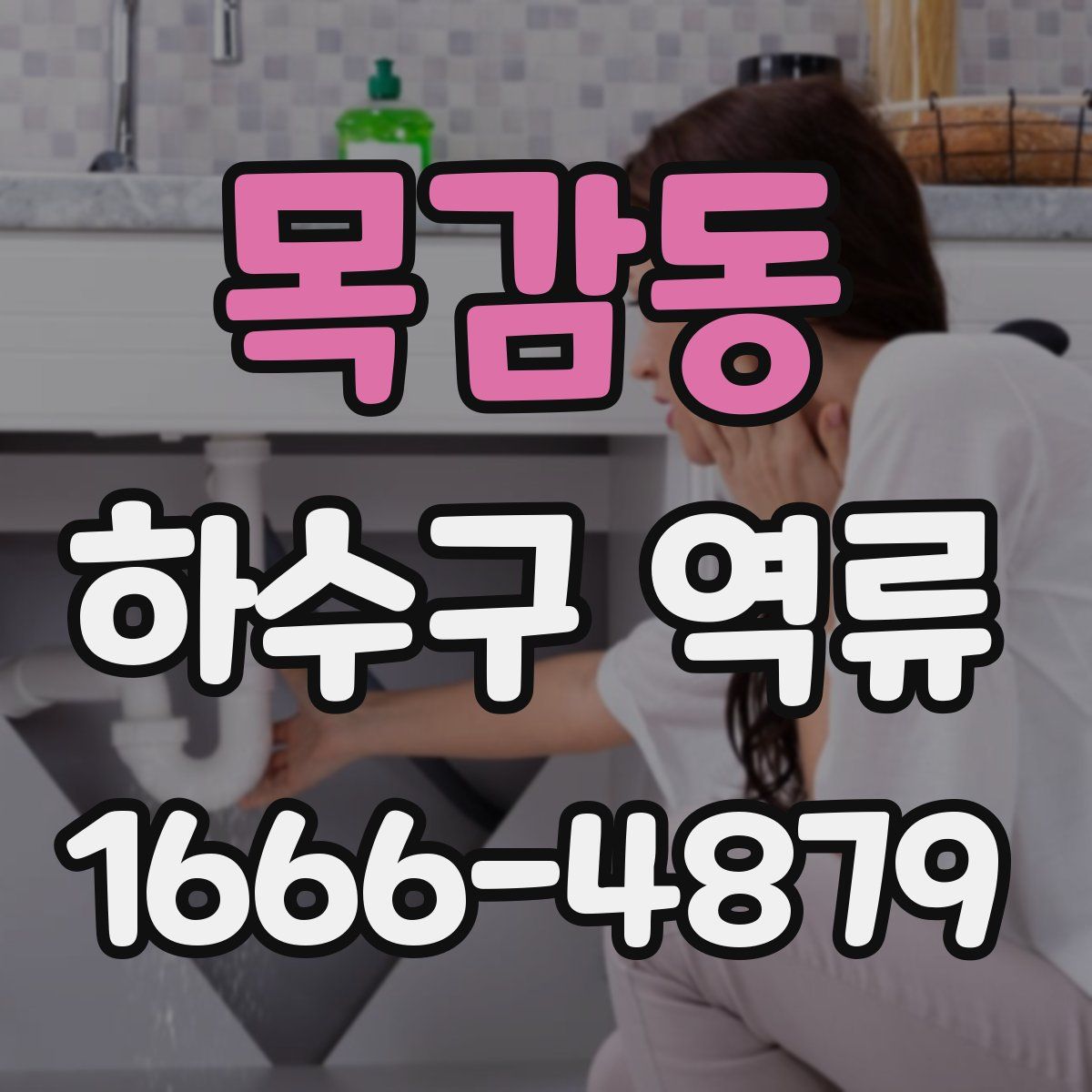 목감동 하수구 역류