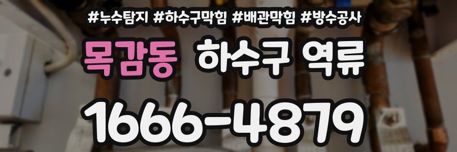 목감동 하수구 역류