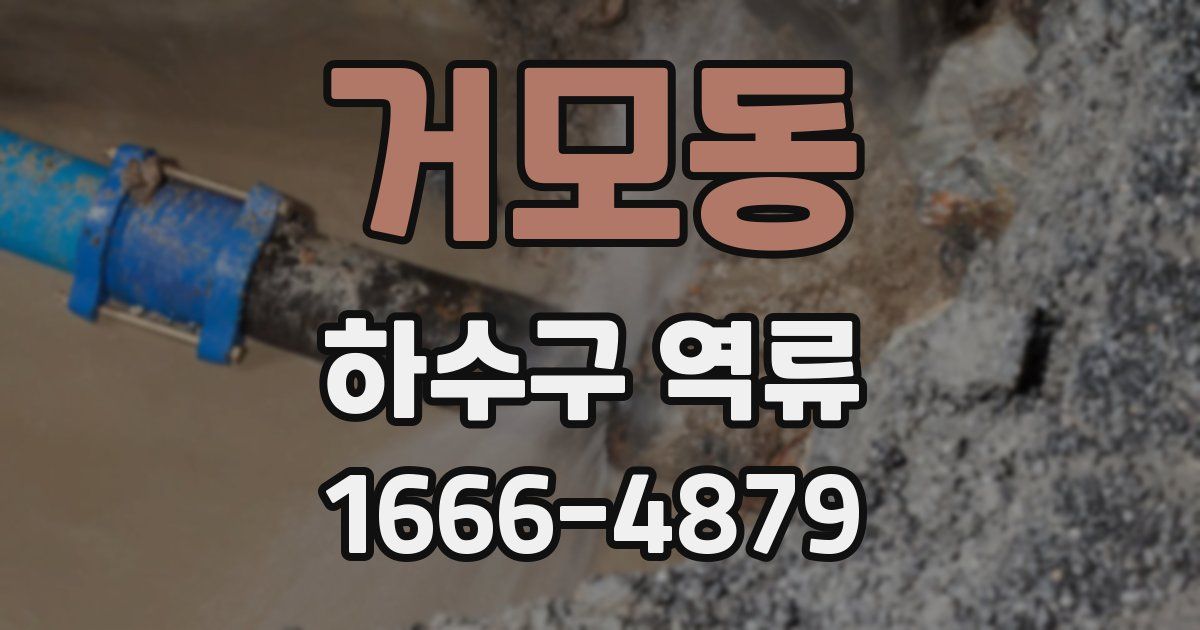 거모동 하수구 역류