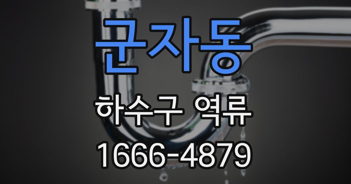 군자동 하수구 역류
