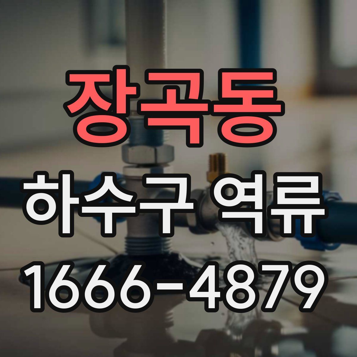 장곡동 하수구 역류