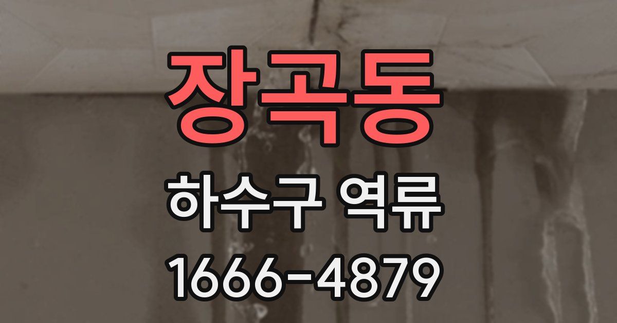 장곡동 하수구 역류