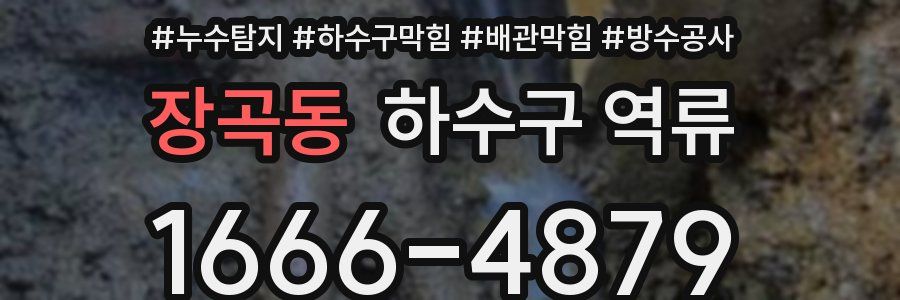 장곡동 하수구 역류
