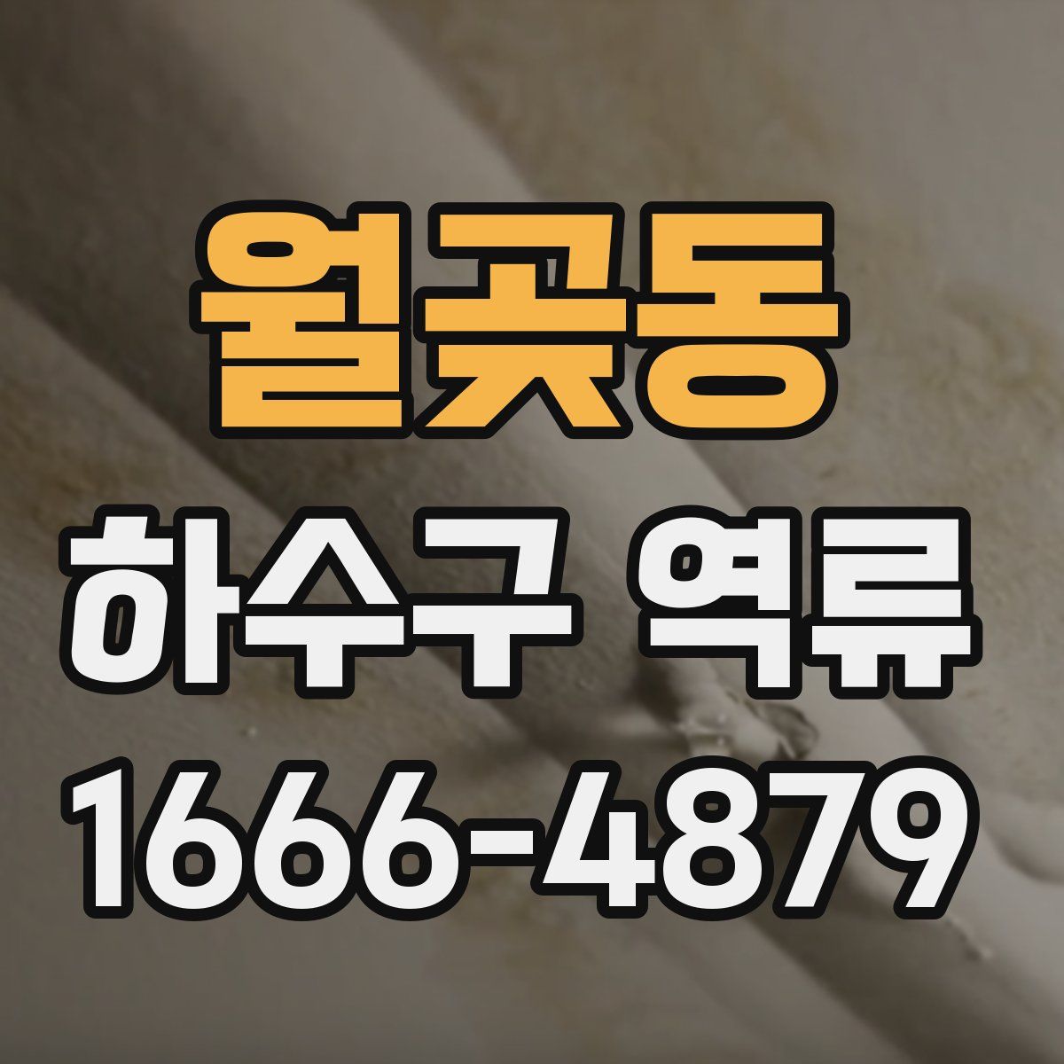 월곶동 하수구 역류