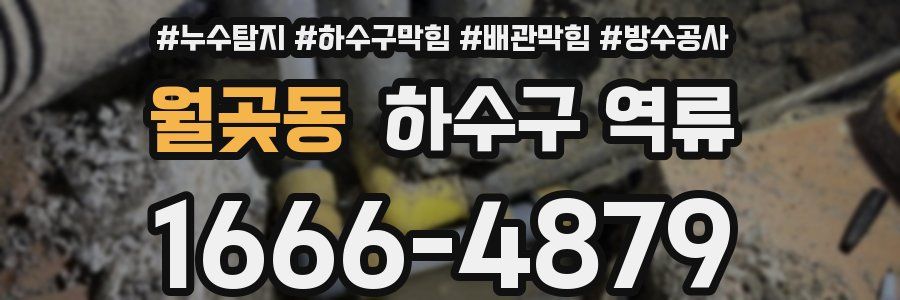 월곶동 하수구 역류
