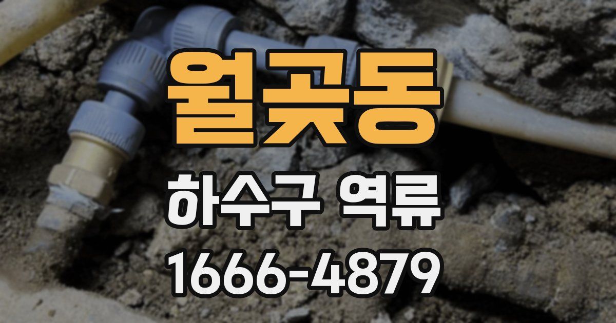 월곶동 하수구 역류