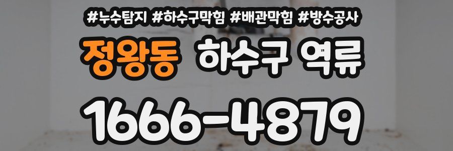 정왕동 하수구 역류